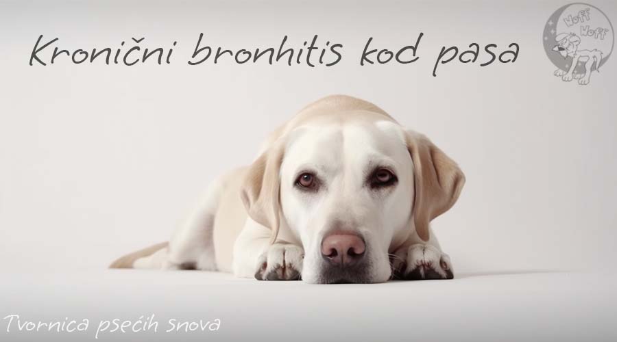 Kronični bronhitis kod pasa