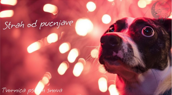 Kako pomoci psima za vrijeme pucanja