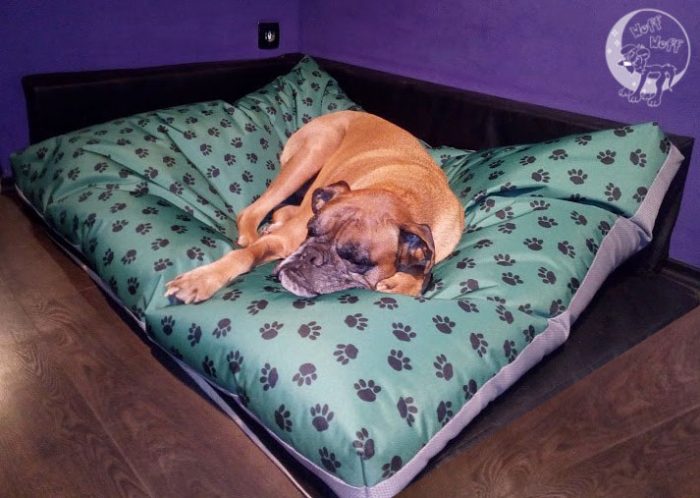 Ortopedski kreveti za pse